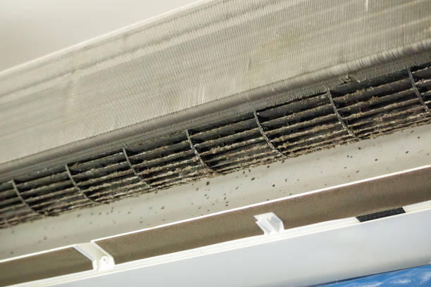 Best Best Air Duct Cleaning Company  in Mcsherrystown, PA